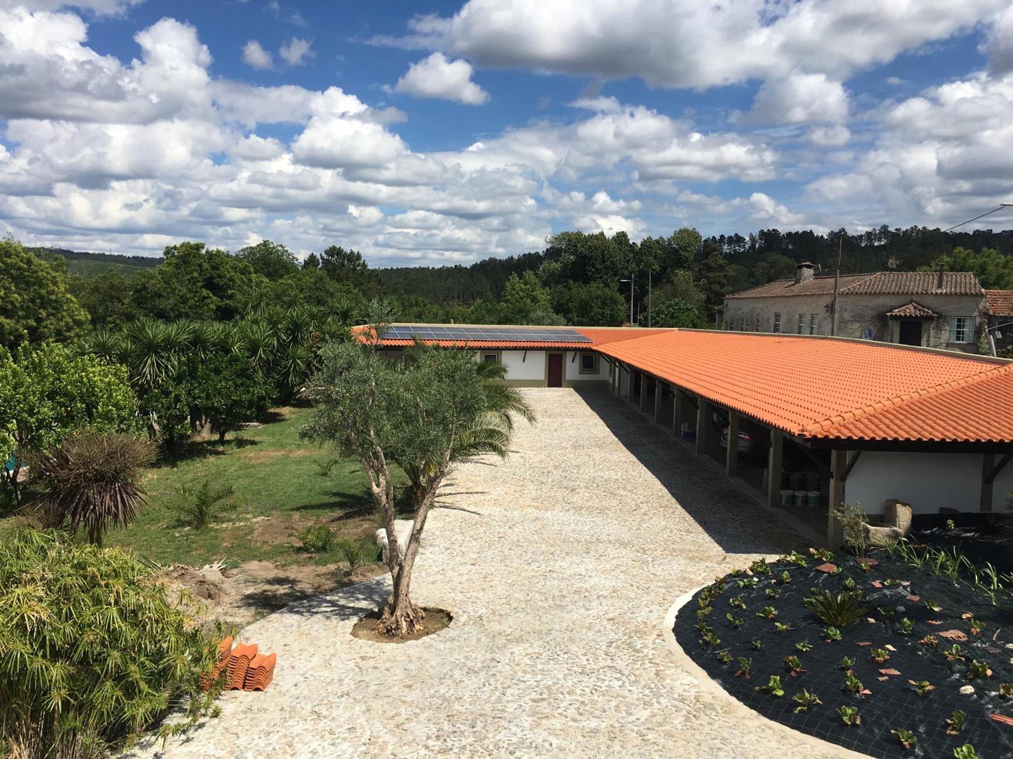Отель Quinta De Mocamedes - Turismo De Habitacao Возела Экстерьер фото