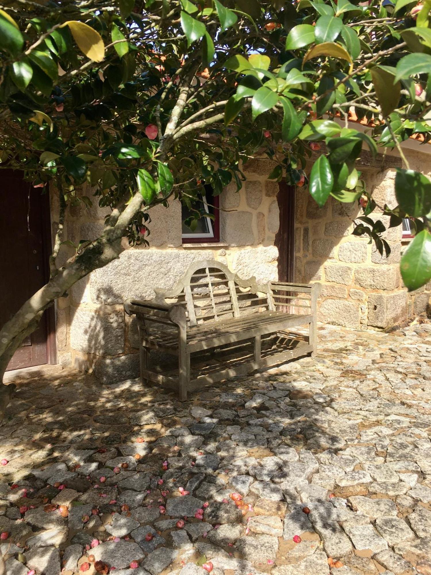 Отель Quinta De Mocamedes - Turismo De Habitacao Возела Экстерьер фото